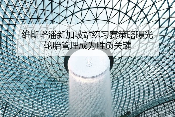 维斯塔潘新加坡站练习赛策略曝光 轮胎管理成为胜负关键